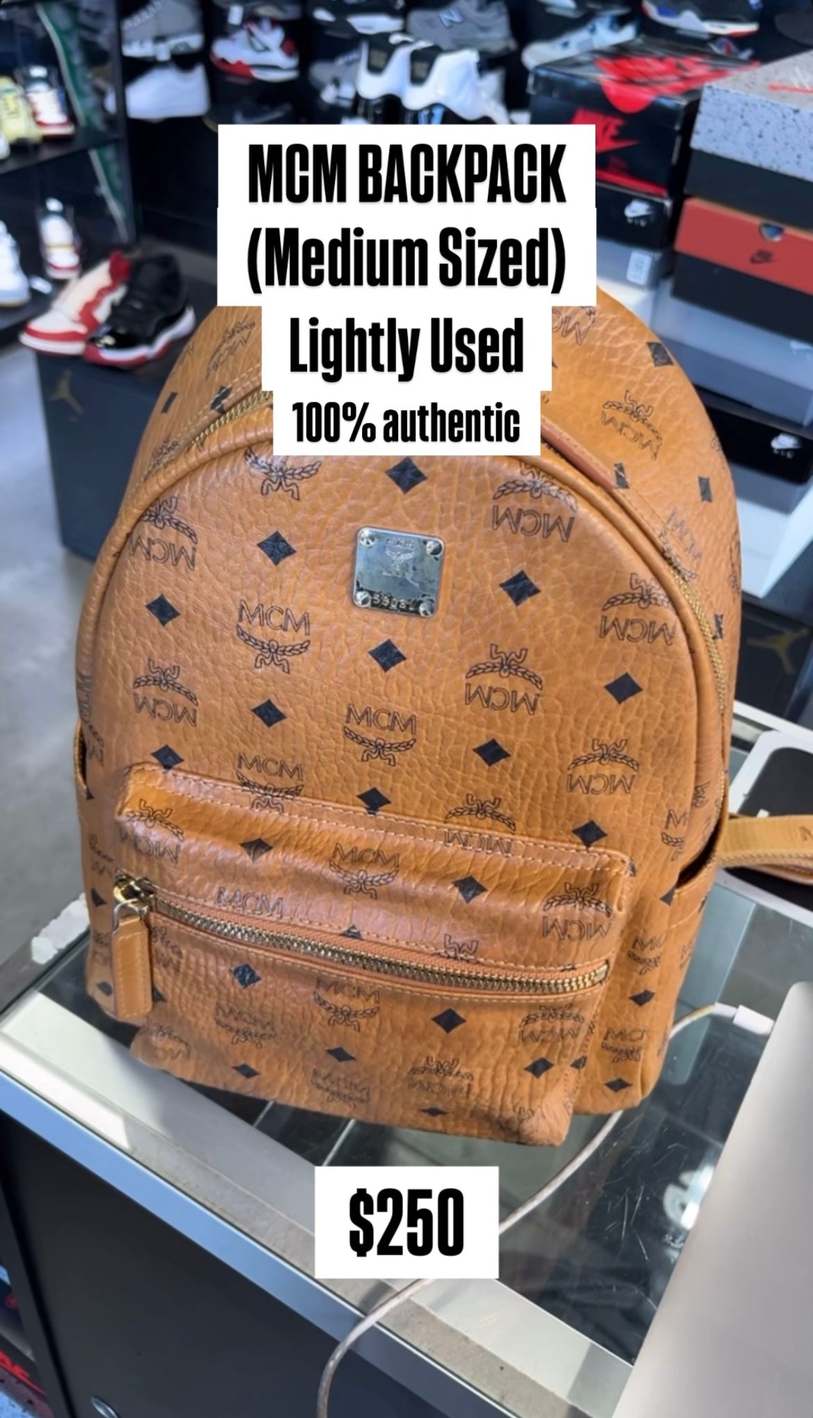 MCM BACKPACK (Medium Sized) Used
