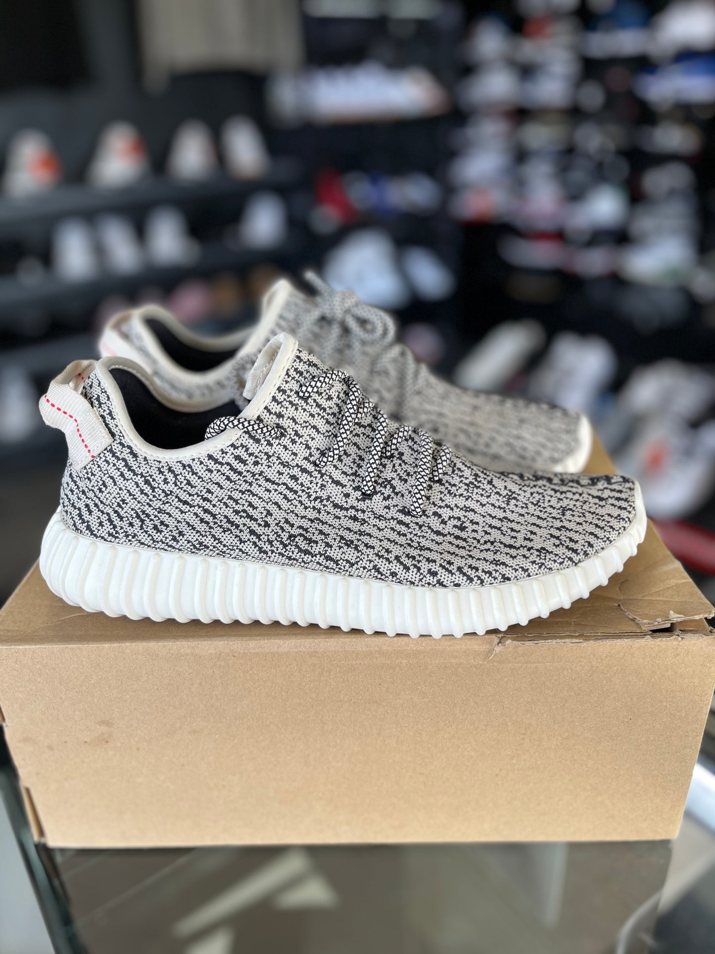 Yeezy 350 “Turtle Dove” Size 11