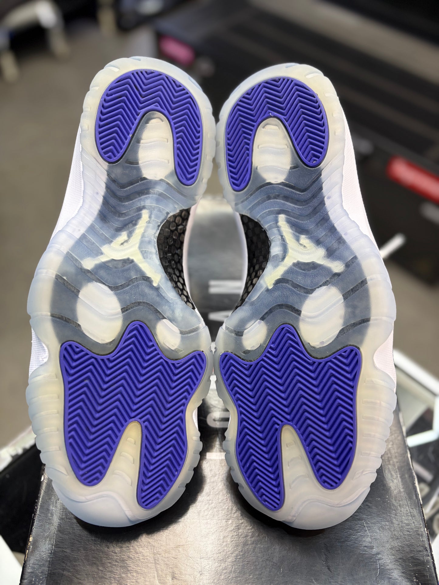 Jordan 11 “Concord” (2018) Size 10.5