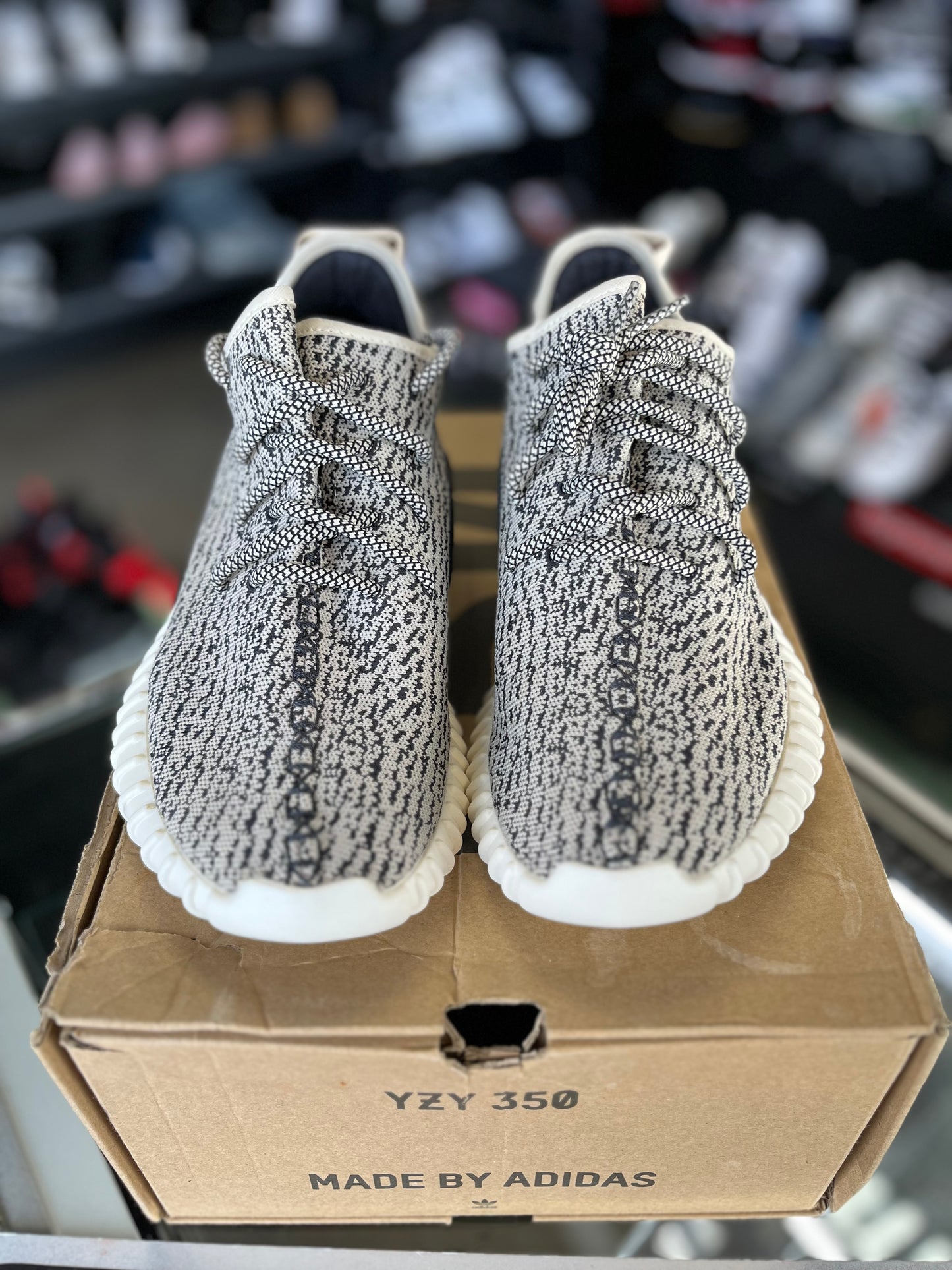 Yeezy 350 “Turtle Dove” Size 11