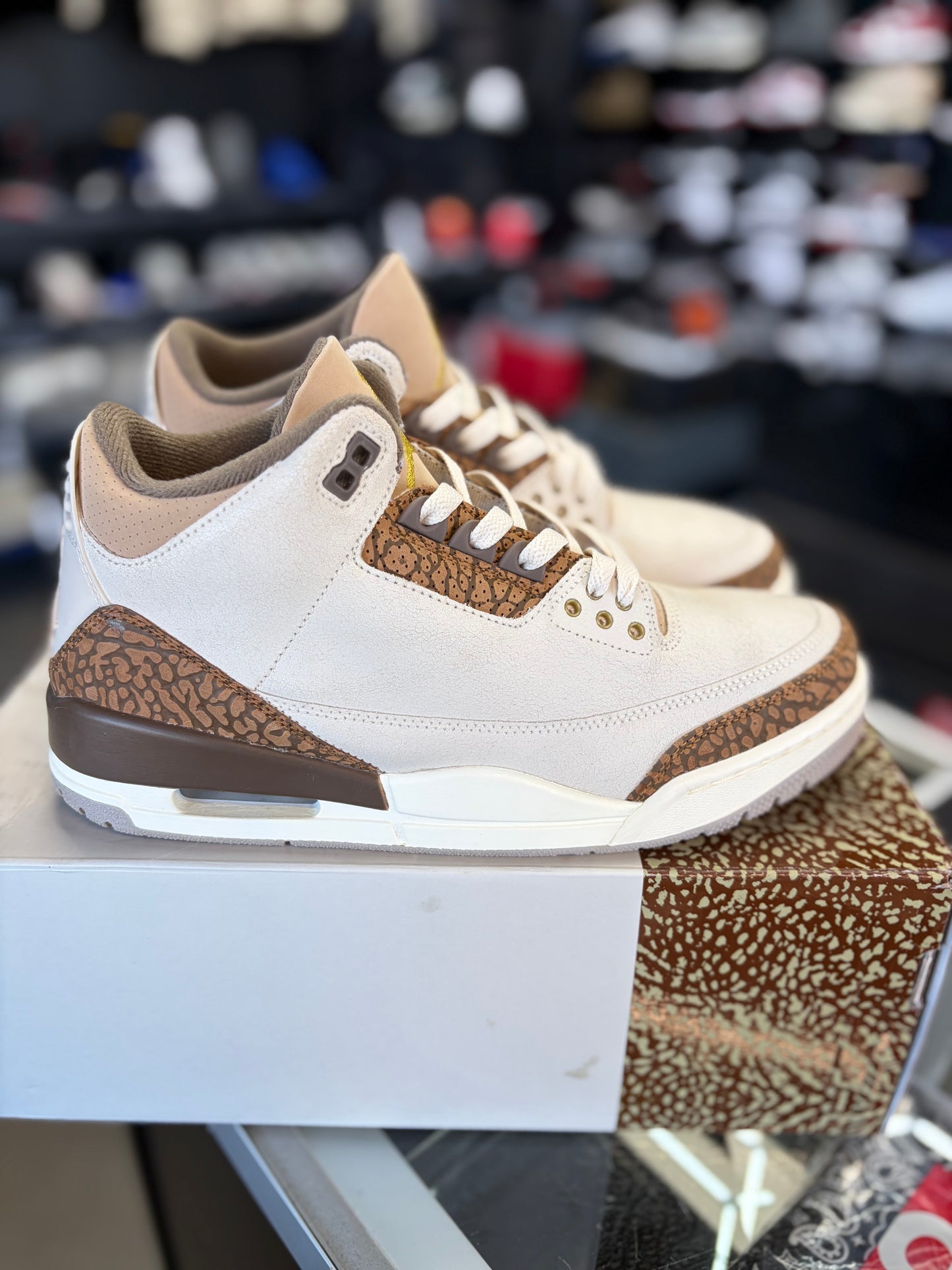 Jordan 3 “Palomino” Size 9