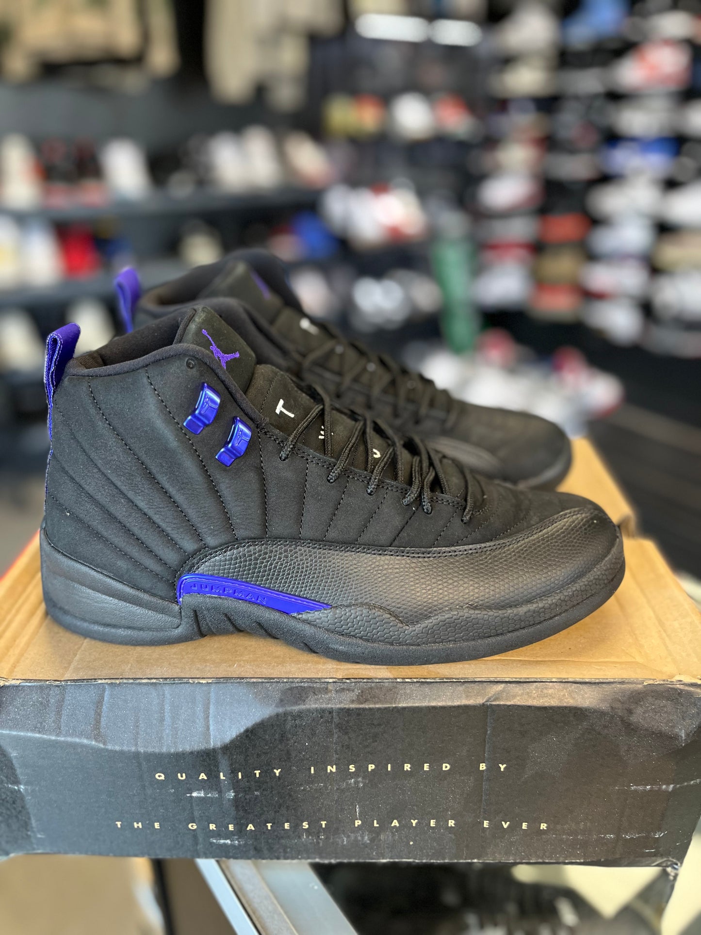 Jordan 12 “Dark Concord” Size 11