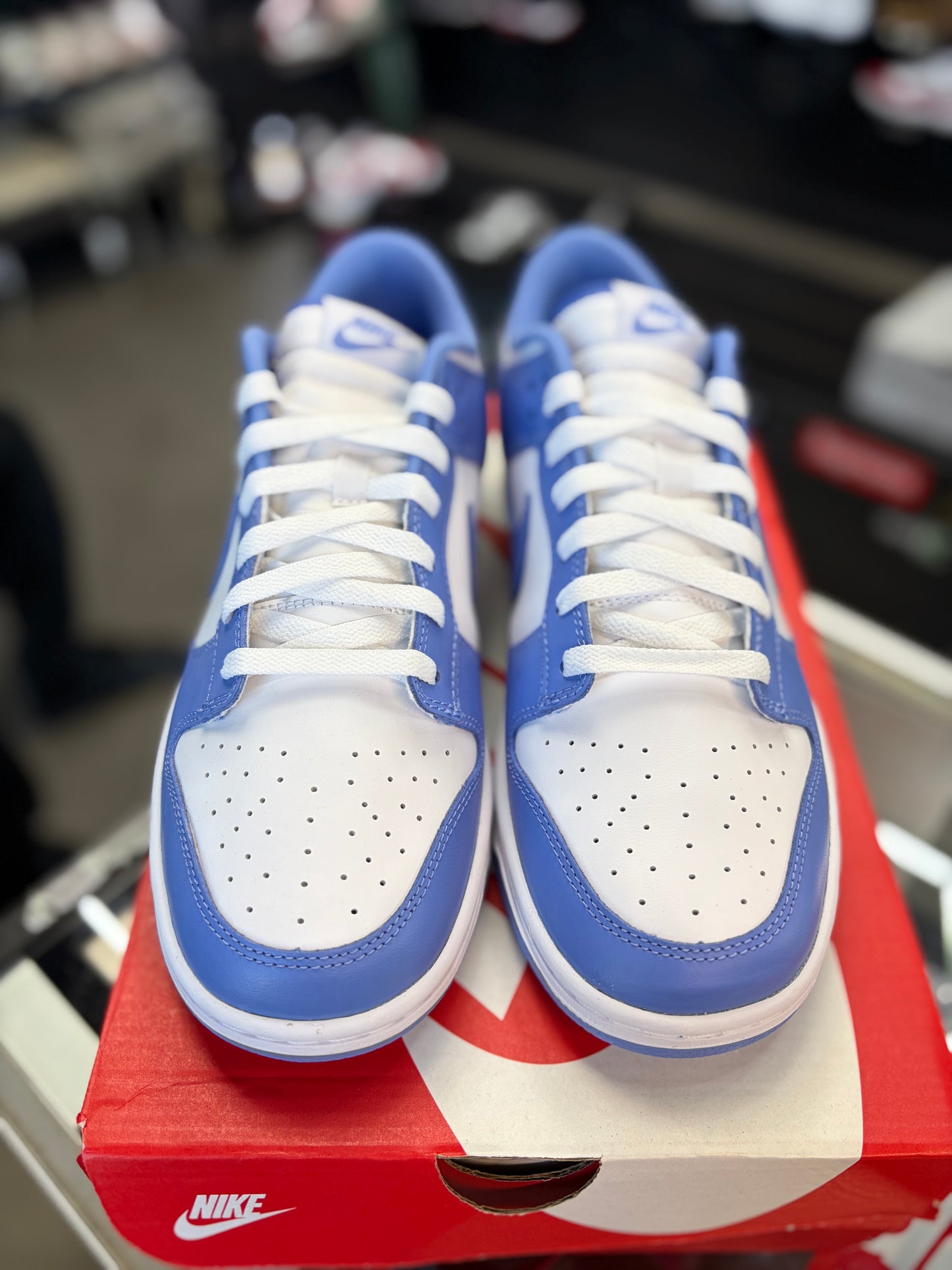 Nike Dunk Low “Polar Blue” Size 10