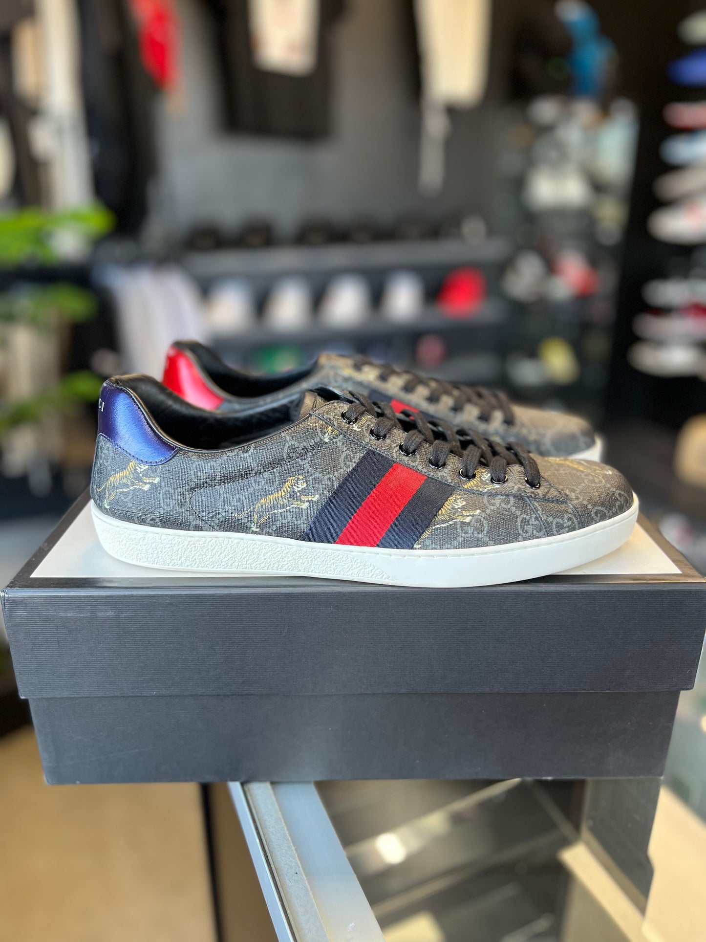 Gucci Ace “Tigers” Size 10 Men